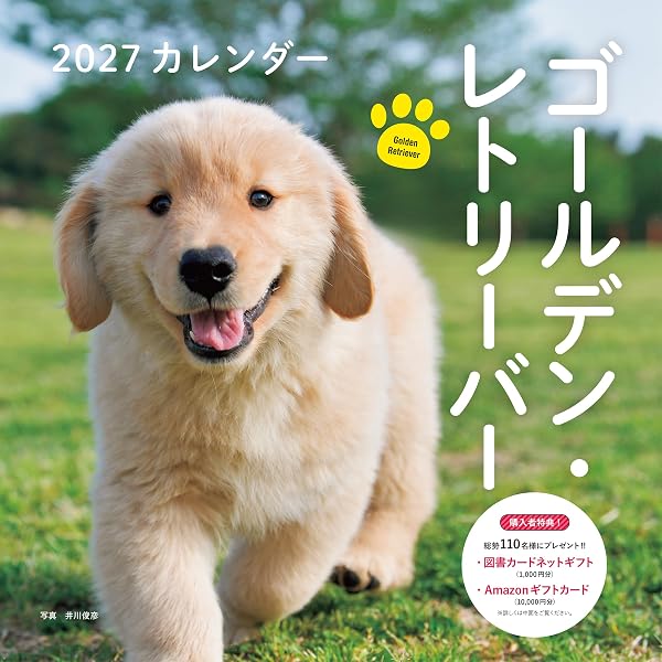 カレンダー2027 ゴールデン・レトリーバー（月めくり/壁掛け/犬